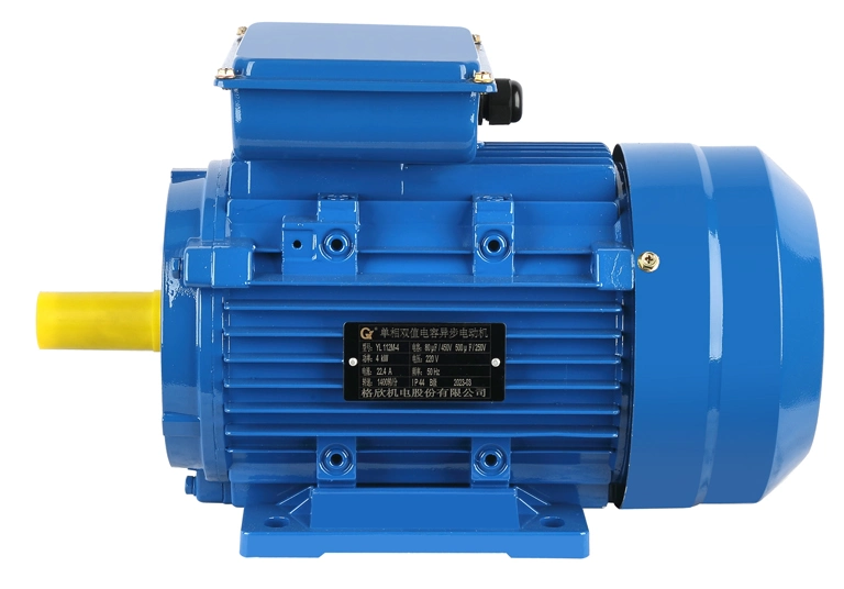 0.37kw 2pole 4pole B3 B35 CE Approved Ms Series Alu Body Electric AC Induction Motor