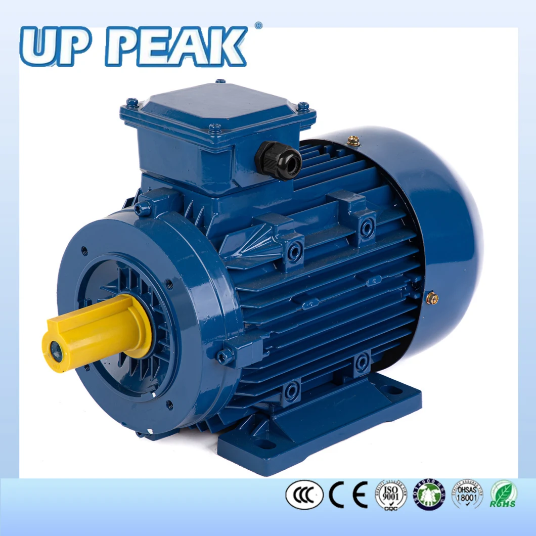 Ms Series High Efficiency Three Phase Asynchronous with Aluminium Housing Electrical Motor