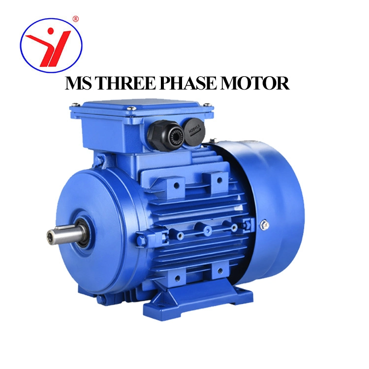 Ms 0.5HP 1HP 1.5HP 2HP 3HP 4HP 5HP 7.5HP 10HP Three 3 Phase AC Induction Electric Motor