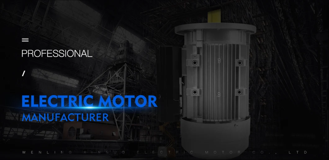 MS-80M2-4 Ms Series Aluminum Shell Three-Phase Motor